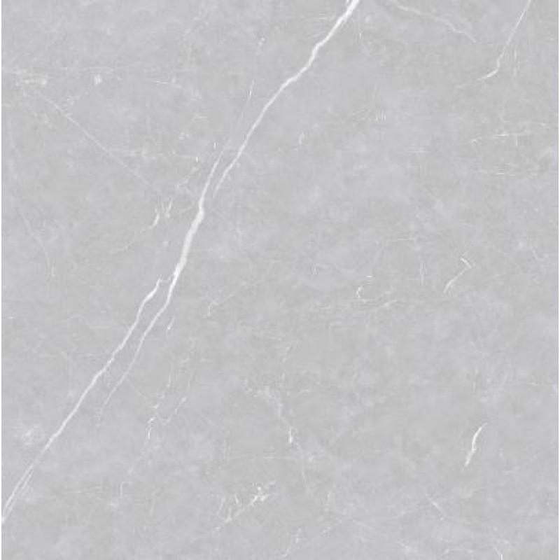 Porcelanato Delta Venato Argenta 120cm x 120cm Polido