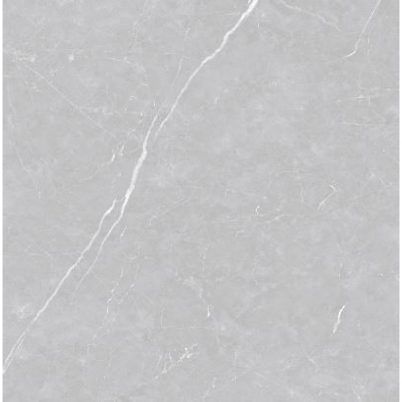Porcelanato Delta Venato Argenta 120cm x 120cm Acetinado