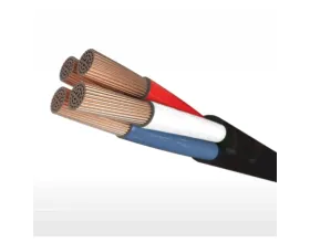 Fio Flexível PW P.P 3 x 6,0 mm 0,6/1KV Preto