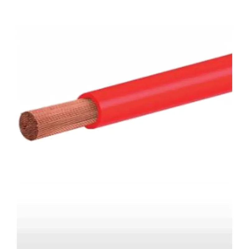 Fio Flexível PW 10,0 mm C/100 Metros 450/750V Vermelho