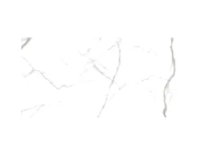 Porcelanato Delta Calacata 60cm x 120cm Polido